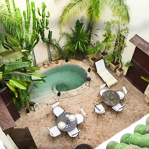 Les Ammonites And Riad
